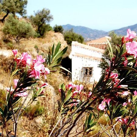 Casa Canillas - For Solo Travelers Or Small Groups Of 4 To 6 People Canillas de Aceituno Exteriér fotografie
